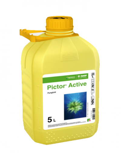 Pictor Active