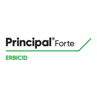 Principal Forte