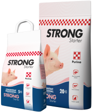 Concentrat profesional Purina STRONG Starter purcei