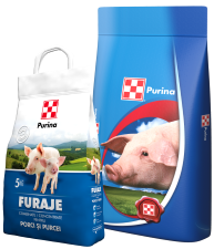 Concentrat Purina PORKINA porc îngrășare