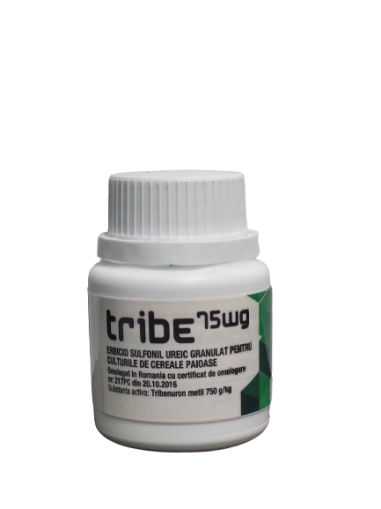 Tribe 75 WG