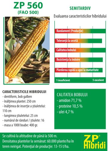 Samanta porumb ZP 560