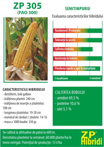 Samanta porumb ZP 305